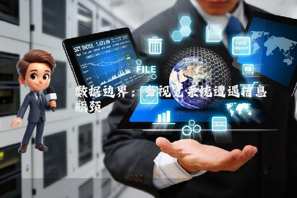 数据边界：当视觉系统遭遇信息熵瓶颈