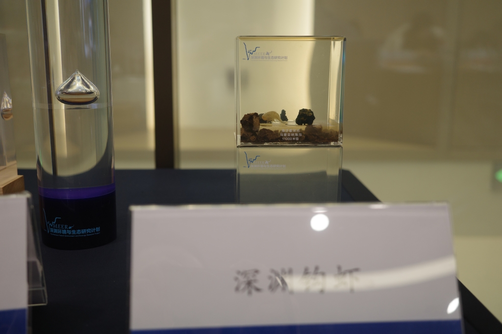 中国深海生命科学研究迈入国际前沿：“溟渊计划”实现多项全球突破